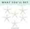 Starfish Decor - Star Fish for Craft - 6pk Real 3-4" White Sea Stars - Beach Wedding Decor - Coastal Party Decorations - Seashell Decor
